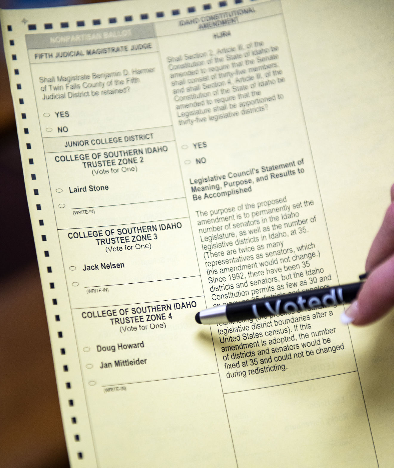 Early voting in Twin Falls County